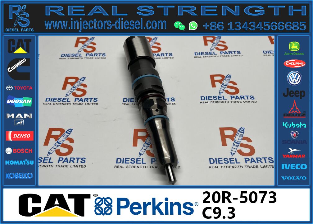 Common Rail diesel Injector for C-A-T C9.3 ENGINE 20R-5077 20R-5079 20R ...